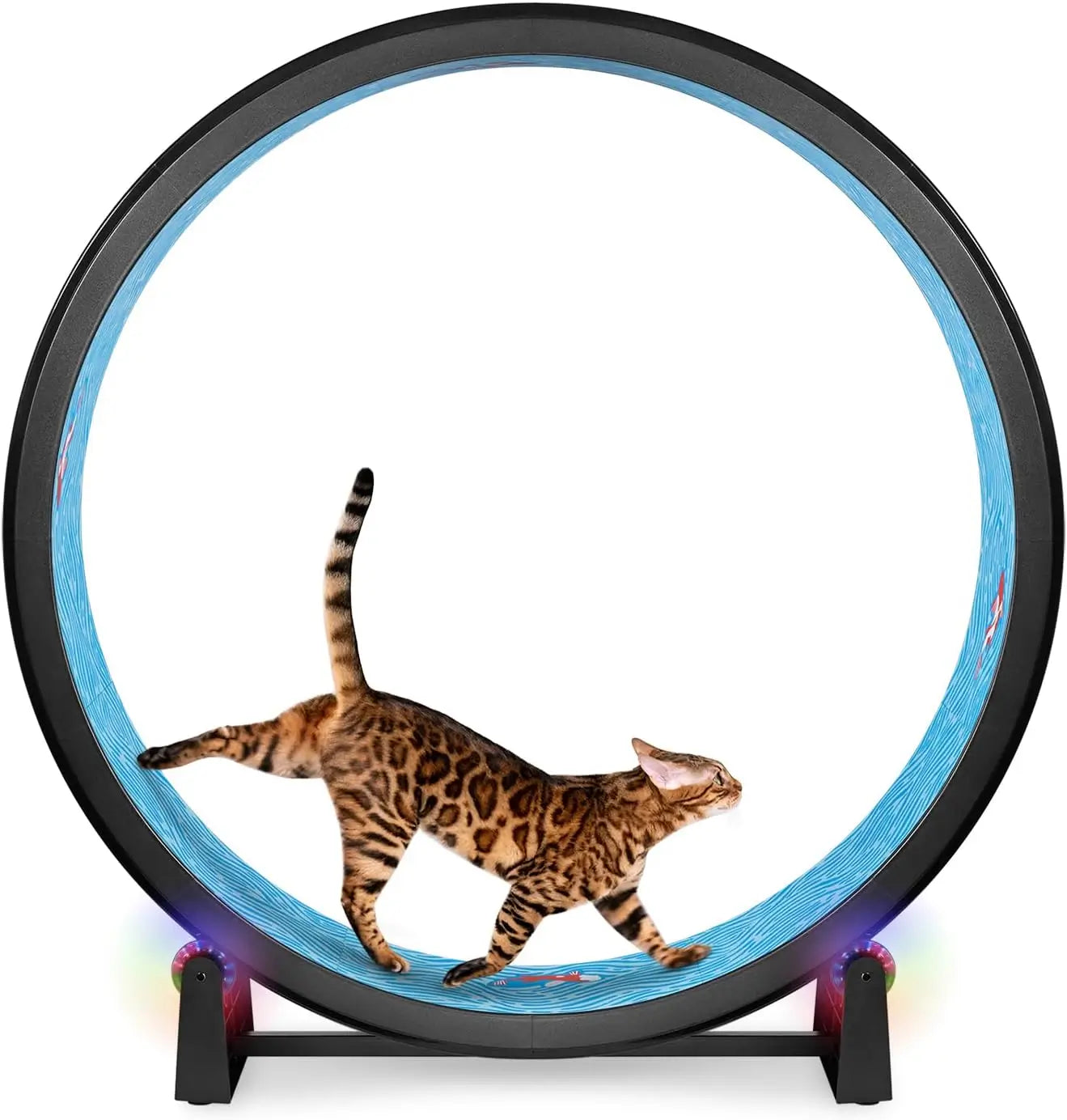 One Fast Cat Exercise Wheel 48 Inch Indoor Cat Running Wheel Made in USA