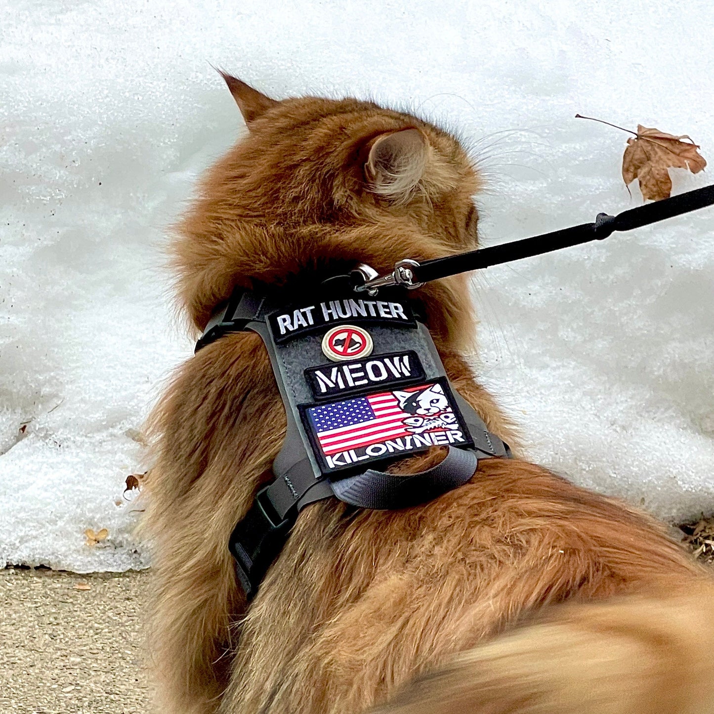 K9R - M1 Lightspeed Harness for Cats