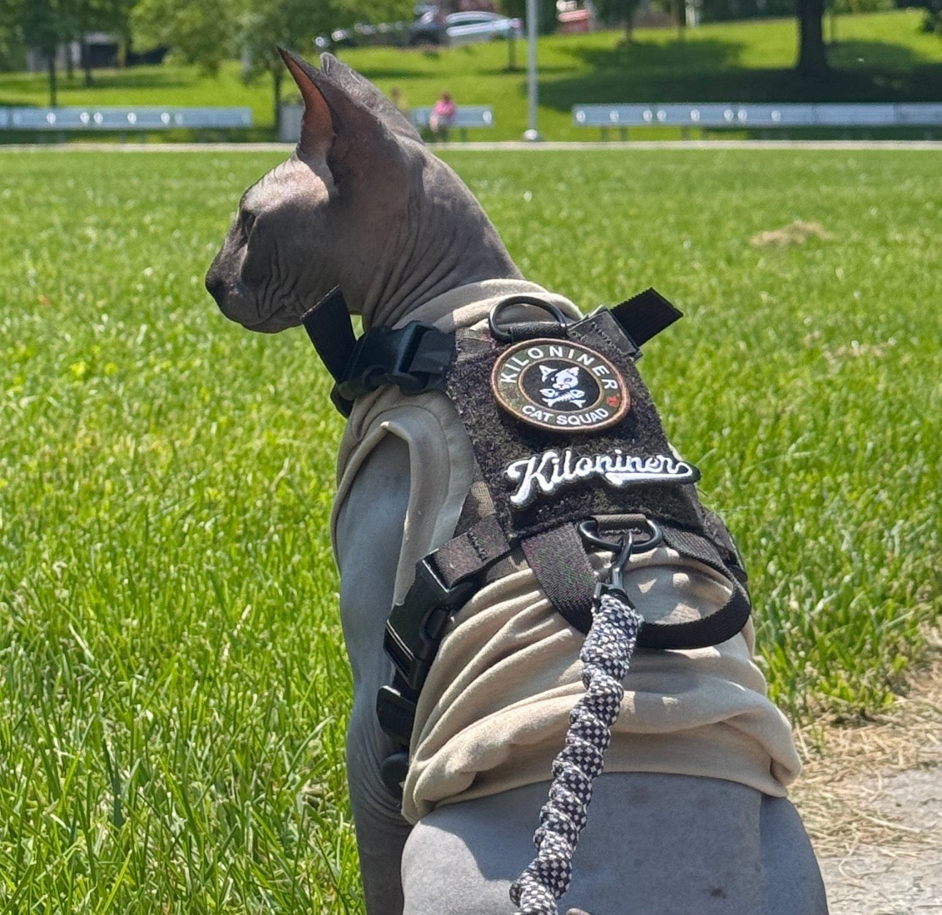 K9R - M1 Lightspeed Harness for Cats