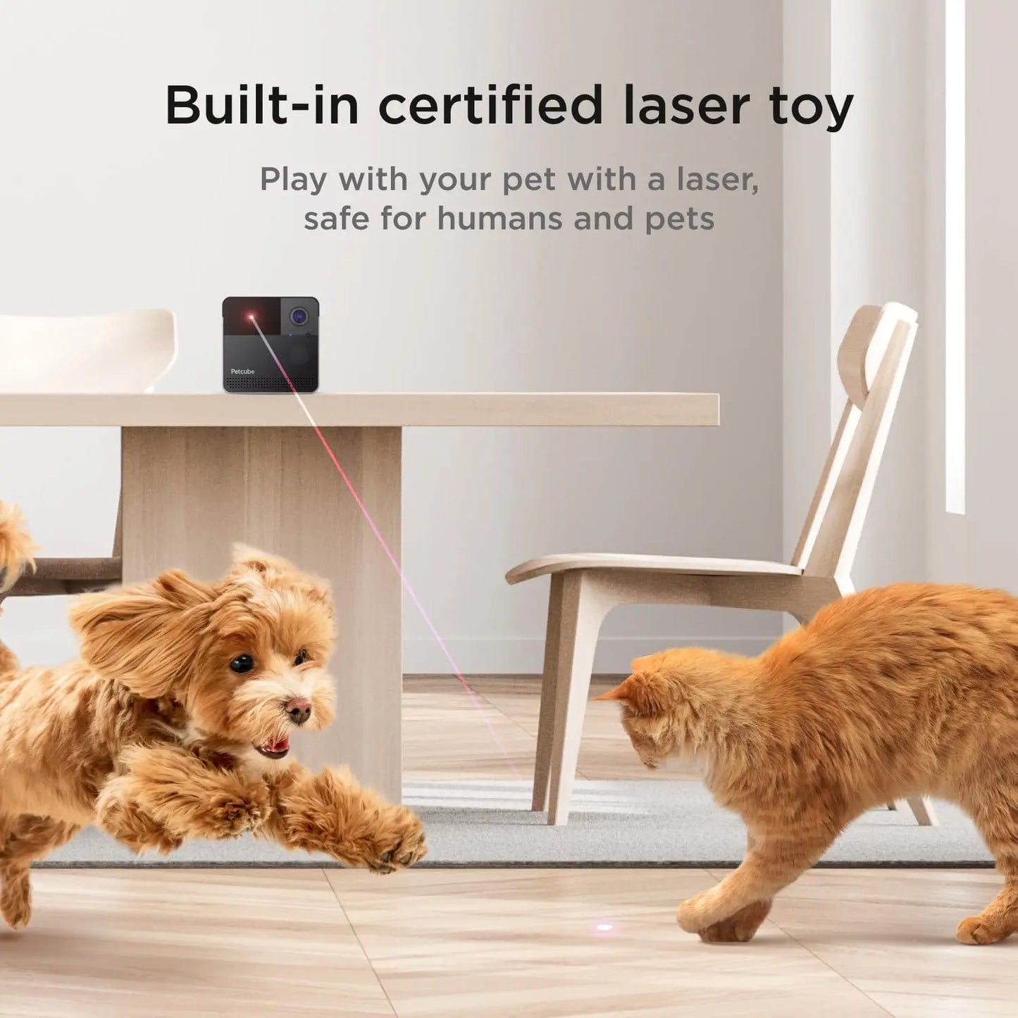 Petcube Play 2 Wi Fi Pet Camera with Laser Toy and 1080p HD Video