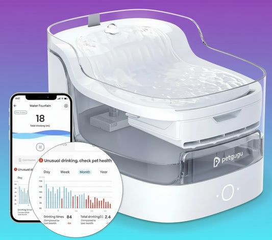 White pet water fountain with smartphone app interface on a white background