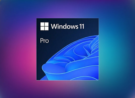 Windows 11 Pro